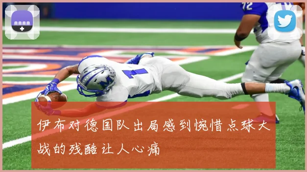 伊布对德国队出局感到惋惜点球大战的残酷让人心痛